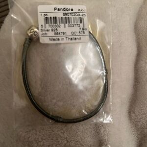 Pandora Oxidized Silver and Black Charm Bracelet